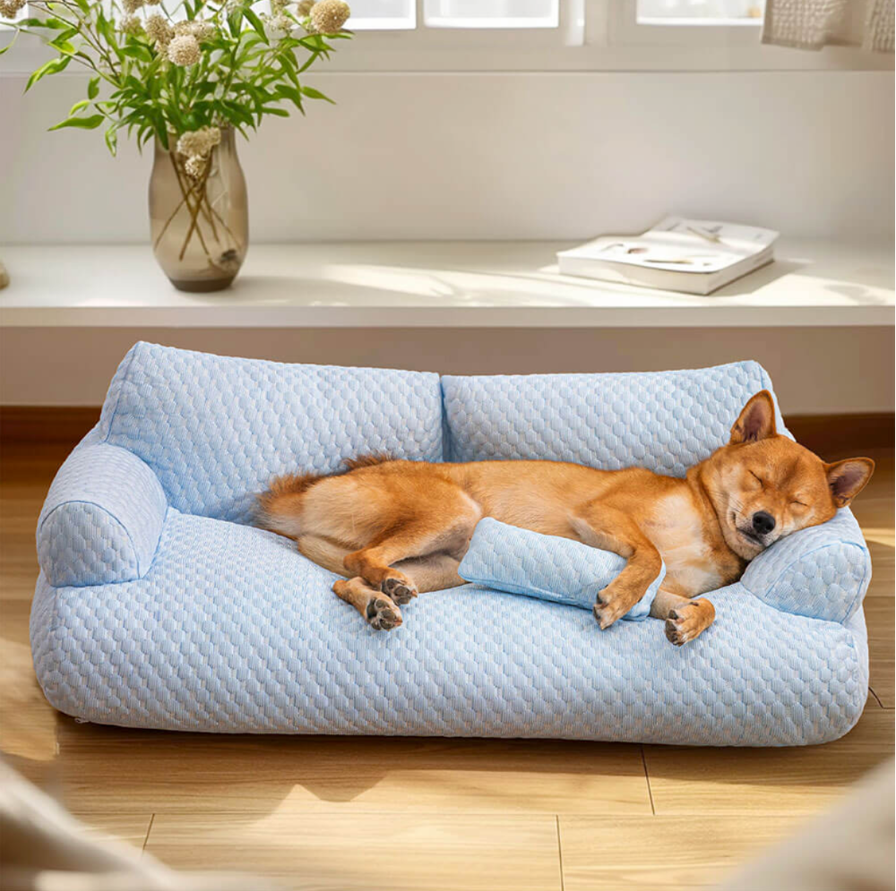 PfotenSofa Kühlendes Hundebett für entspannte Nächte