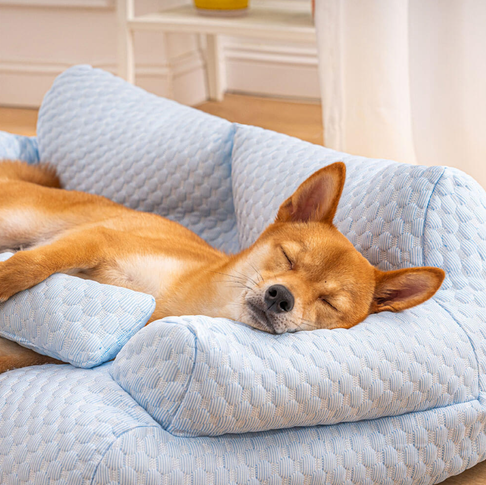PfotenSofa Kühlendes Hundebett für entspannte Nächte