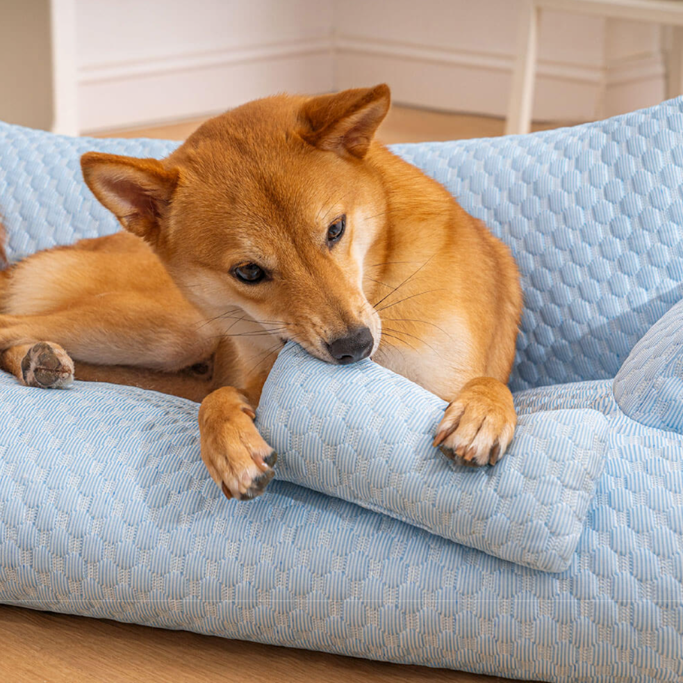 PfotenSofa Kühlendes Hundebett für entspannte Nächte