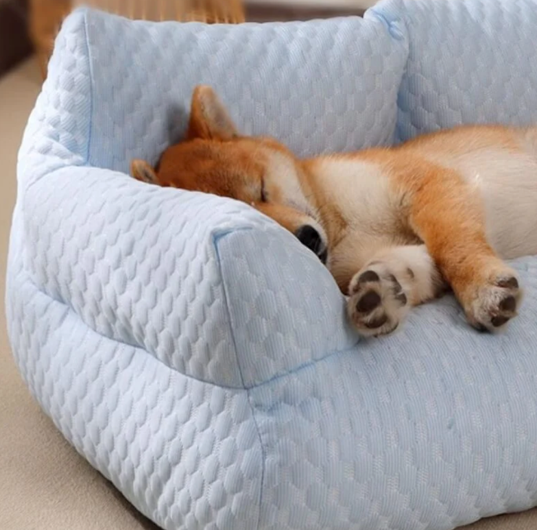 PfotenSofa Kühlendes Hundebett für entspannte Nächte