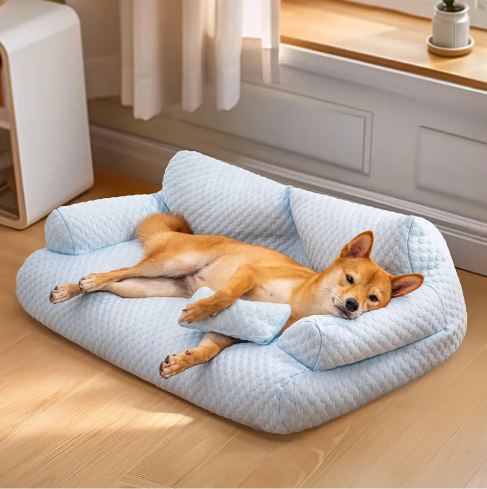 PfotenSofa Kühlendes Hundebett für entspannte Nächte